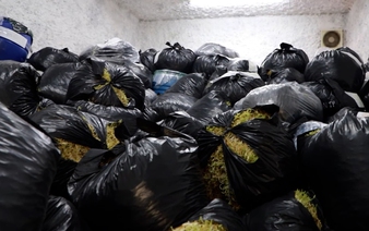 Vietnam uncovers chemically treated bean sprout cases involving up to 2,900 tonnes