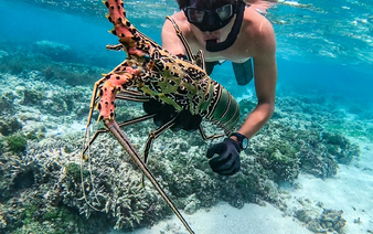 Vietnamese traveler explores world’s second-largest island in search of remote adventures