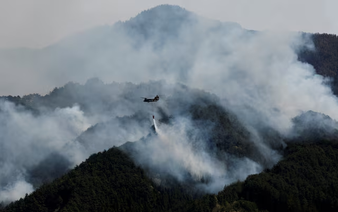 Global fire outbreaks hit record high as 'unprecedented' heat extremes loom, scientists say