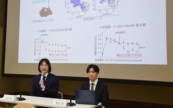 Japan team finds substance to help keep post-stroke recovery