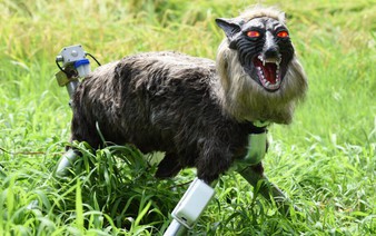 Japan 'robot wolves' in high demand to scare off bears