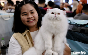 Cats from several countries gather in Hanoi for beauty pageant