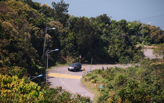 Da Nang to launch tour to Son Tra Peninsula inspired by Bill Gates visit