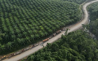 Indonesia to bring commodity exports under centralised control, president says