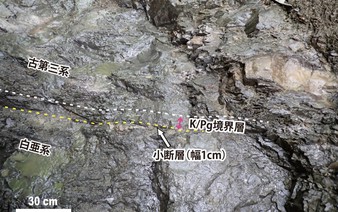 Asteroid traces in Japan may be linked to dinosaur extinction