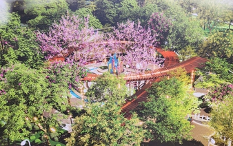 Ho Chi Minh City breaks ground on new green park