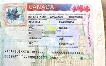 Many left in debt after alleged Canada visa, World Cup scam in central Vietnam
