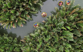 Da Nang proposes entrance fee for Cam Thanh nipa palm forest
