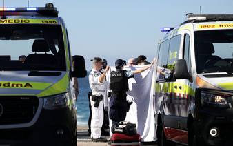 Woman seriously injured in shark attack at Sydney beach