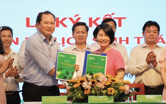 Ho Chi Minh City launches Can Gio ecotourism project with forest lease agreement