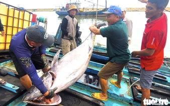 Vietnam’s seafood exports rise in first half of 2026