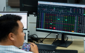 Ho Chi Minh Stock Exchange to delist Bamboo Capital shares due to compliance issues