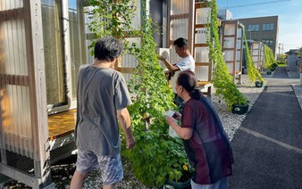‘Green curtain’ initiative spreading in Japan
