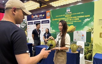 Millions of orders for Vietnamese durians placed through livestreams in China