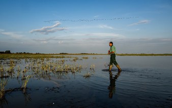 Hungary channels water to protect UNESCO bird haven amid drought