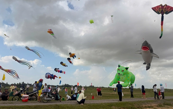 Giant shark kite steals show at border-area contest in southern Vietnam