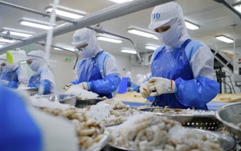 Asia powers Vietnam’s shrimp boom, leaving the West behind