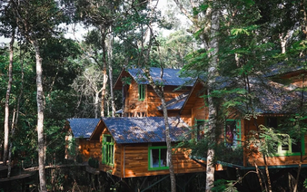 Mang Den Treehouse in central Vietnam nominated for 2026 Best Tourism Villages award