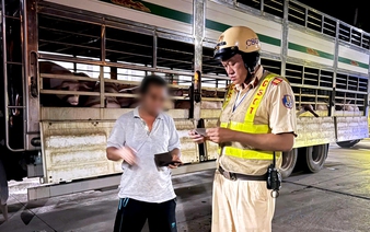 201 pigs found positive for banned substance in Ho Chi Minh City 