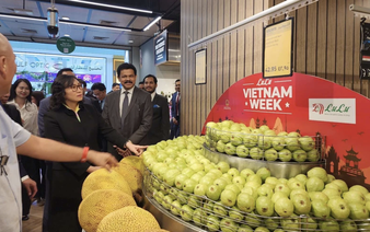 Global retailers eye Vietnamese suppliers for private-label expansion