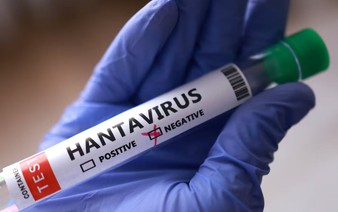 Vietnam says no Andes hantavirus cases as WHO declares cruise ship outbreak over