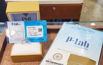 Vietnamese jeweler PNJ comes under pressure after ex-subsidiary chief charged in transnational diamond smuggling case