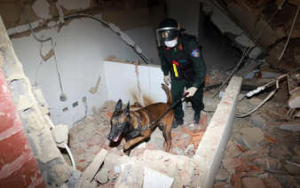 Vietnamese search-and-rescue dog unit honored with Venezuelan medal for earthquake mission