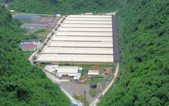 Vietnam police launch criminal probe into deadly pig farm accident
