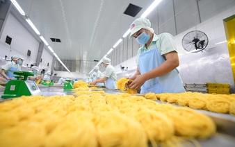 Beyond preferential credit: What Vietnam’s SMEs need to thrive