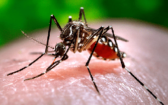 Vietnam's Dak Lak records first dengue death of 2026