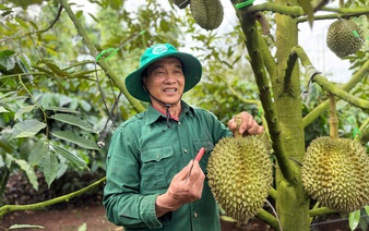 Vietnam, China seek common standards for durian testing