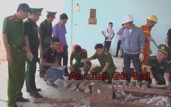 Vietnam seizes 1.1 tonnes of ivory smuggled from Africa