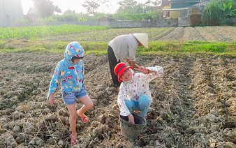 Summer without smartphones: Vietnamese parents send kids to countryside for a screen break