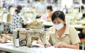 Vietnam exporters urge urgent action over certificate of origin issuance delays