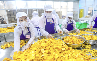 Vietnamese goods face tougher hurdles in France despite EVFTA tariff benefits