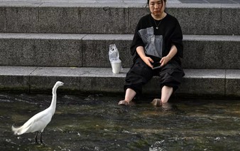 South Korea records its highest-ever temperature of 42.5C