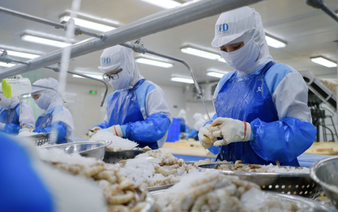 Vietnam seafood exporters urged to stun shrimp, fish before slaughter