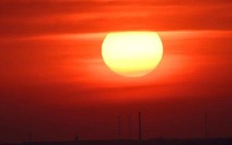 Germany reports record 14,000 heat-related deaths this summer