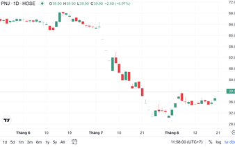 Vietnamese jeweler PNJ shares hit ceiling after diamond smuggling case update