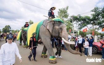 Elephants escort ‘Durian Queen’ at festival in Vietnam’s Central Highlands