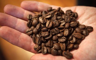 El Niño threat to Vietnam coffee crop should not be underestimated, official says