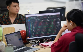 Which Vietnamese stocks made it into FTSE’s global equity indexes?
