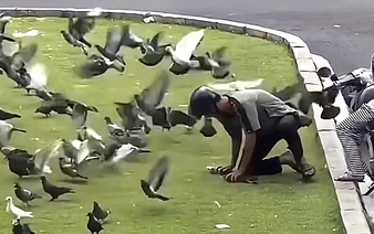 Young man filmed catching pigeons in downtown Ho Chi Minh City, sparking outrage