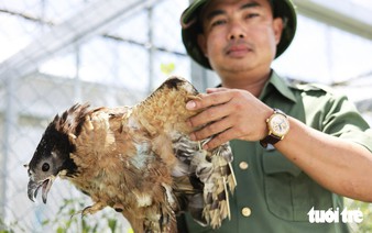 A lifelong home for nearly 200 injured wild animals in Vietnam’s Central Highlands