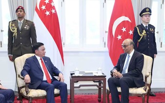 Key Vietnamese leader meets Singaporean President
