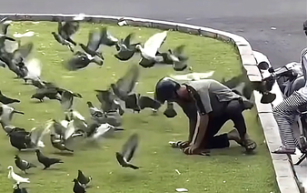 Police question young man over catching pigeons in downtown Ho Chi Minh City