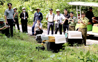 Beyond the caves: Vietnam's Phong Nha-Ke Bang opens new trail for birdwatchers