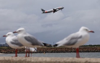 Australia probes near-miss collision of two planes on tarmac at Sydney airport