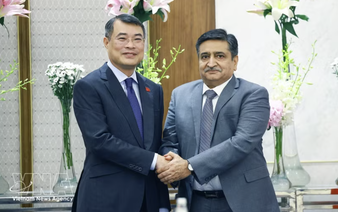 PM urges Indian groups to invest in clean energy, infrastructure in Vietnam