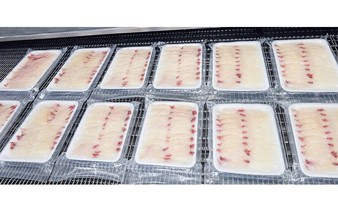 From fish farm to sashimi counter: Vietnam’s tilapia finds market in Japan